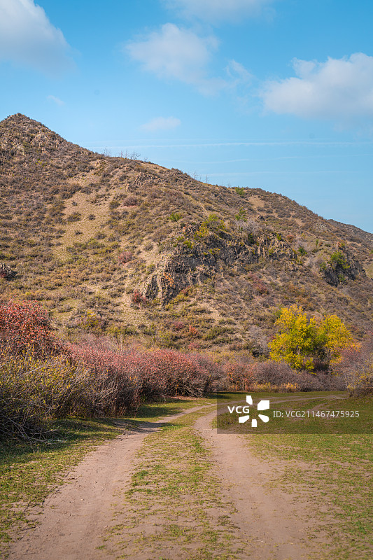 雪山 天山森林公园  秋季 山谷 露营图片素材