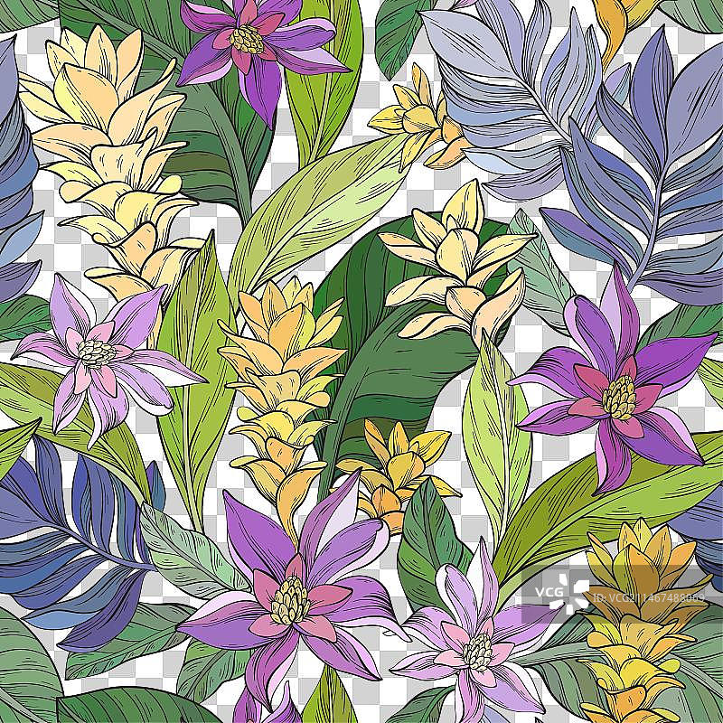 姜花无缝图案图片素材