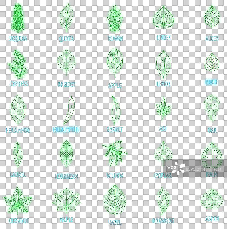 霓虹叶子图标合集图片素材