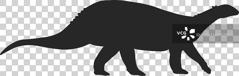 Sellosaurus剪影图片素材