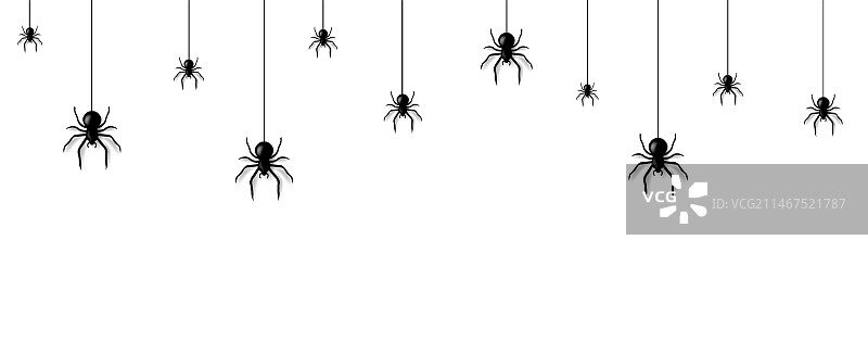 万圣节贺卡：蜘蛛网与蜘蛛图片素材