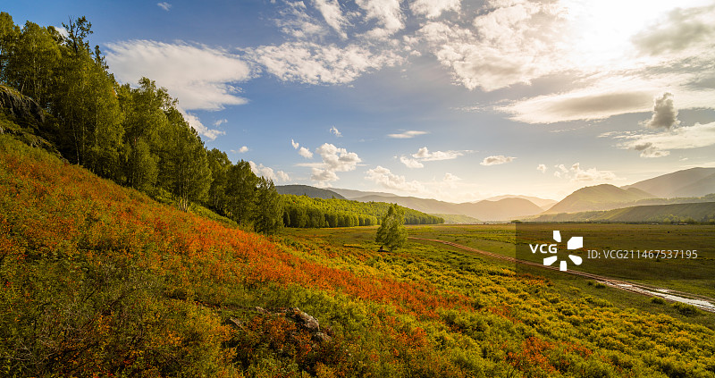 初秋的禾木草原图片素材