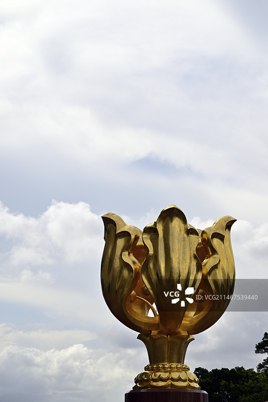 香港金紫荆广场紫荆花雕塑特写图片素材