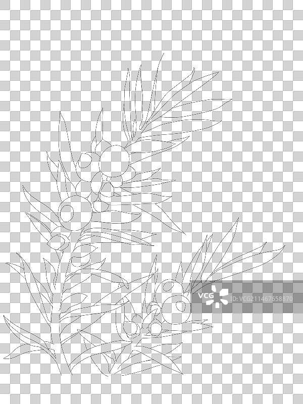 黑色背景下抽象图案的特写镜头不知名的小黄花不知名的油菜花荷花红果南天竹兰花t图片素材