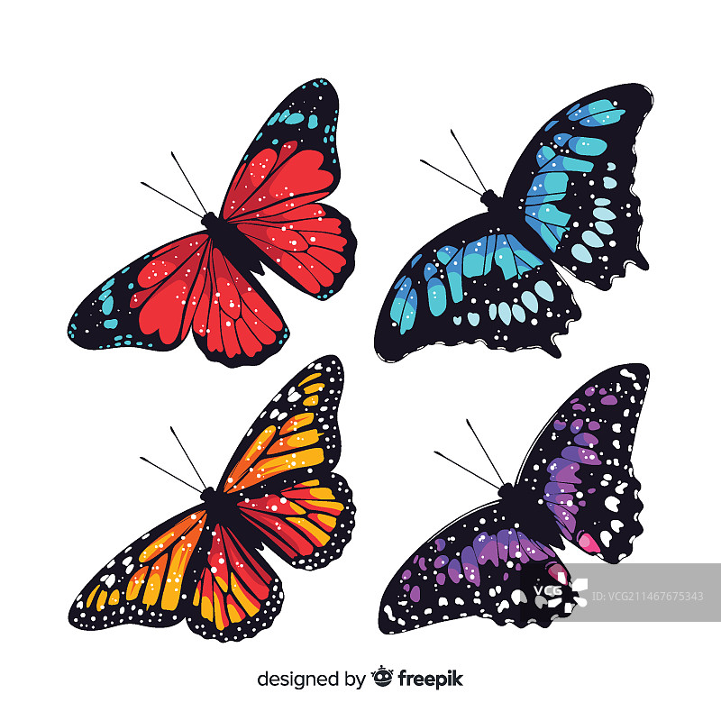 扁平风格蝴蝶合集图片素材