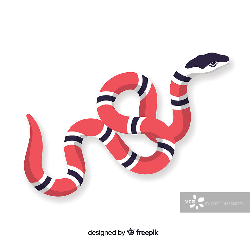 条纹蛇背景图片素材