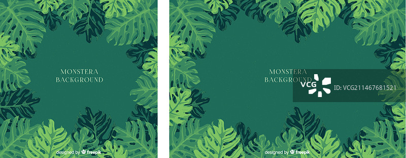 龟背竹背景图片素材