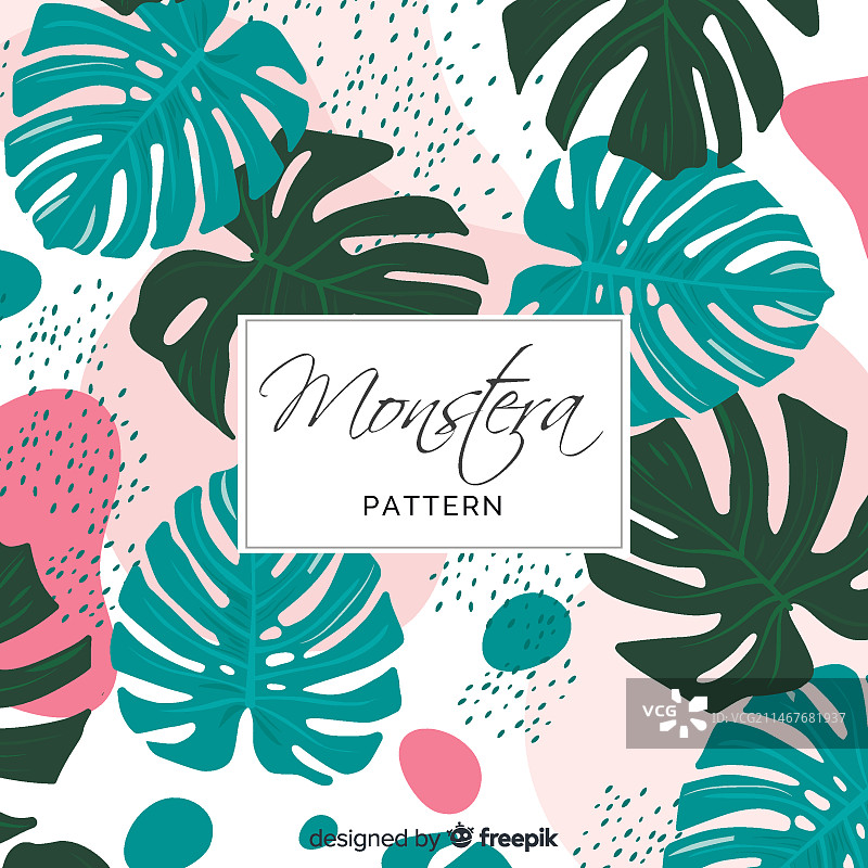 龟背竹图案图片素材