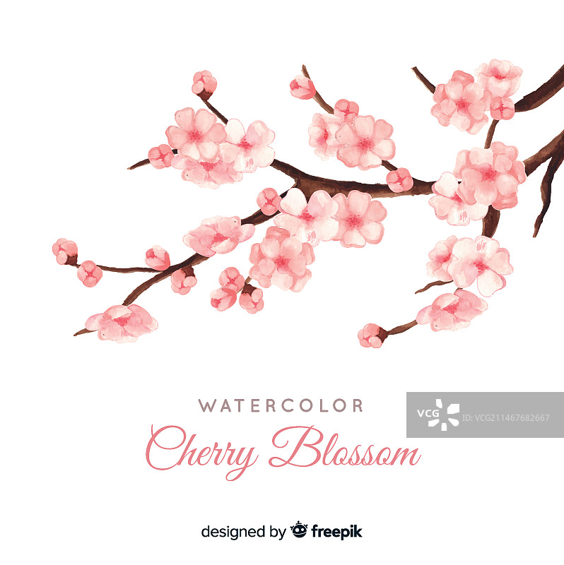 樱花枝图片素材