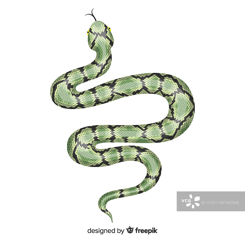 手绘逼真蛇插画图片素材