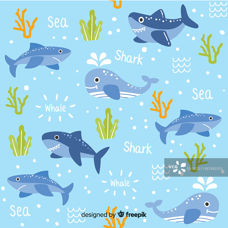 彩色涂鸦海洋动物和文字图案图片素材