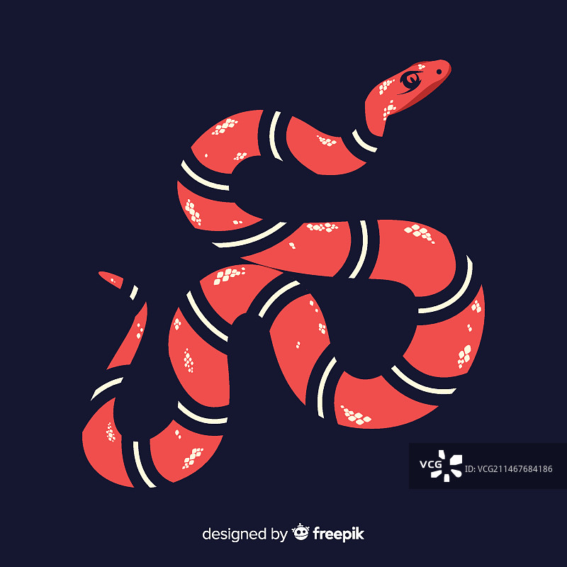 手绘珊瑚蛇背景图片素材