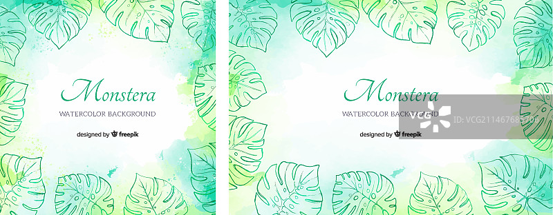 水彩龟背竹背景图片素材