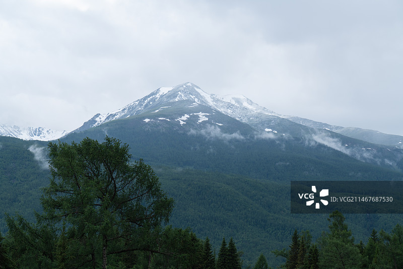 夏天新疆喀纳斯的雪山图片素材