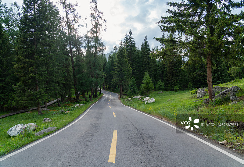 夏天新疆喀纳斯景区的林中公路图片素材