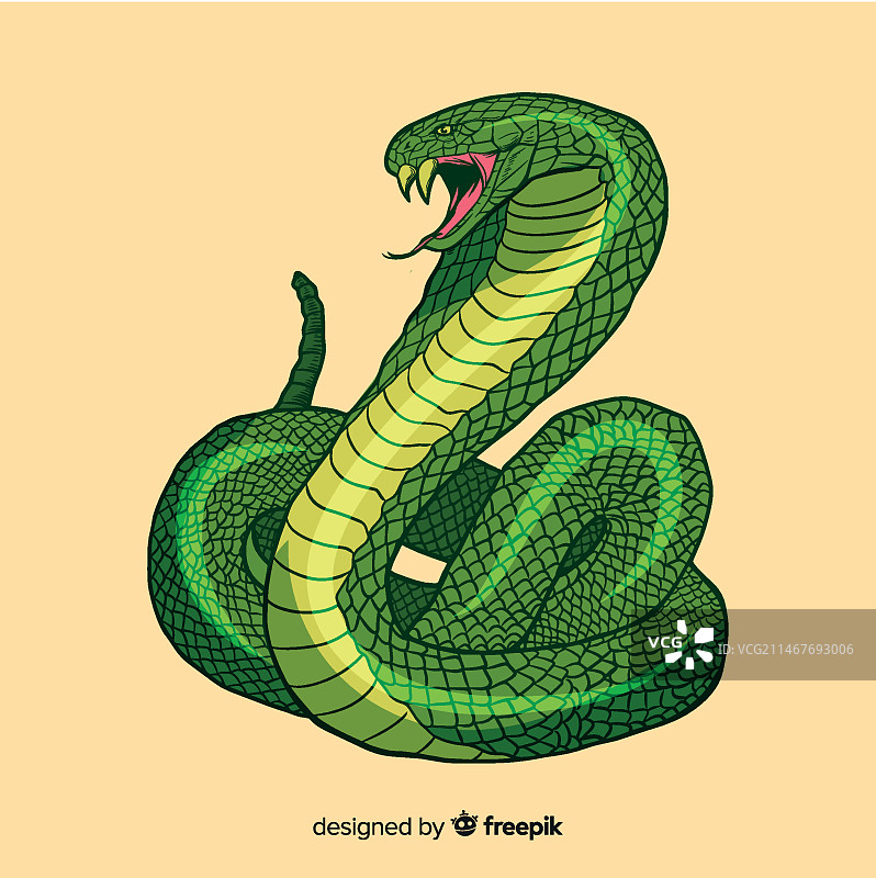 手绘蛇插画图片素材