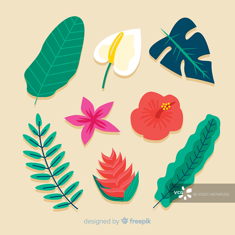 热带花卉和树叶合集图片素材
