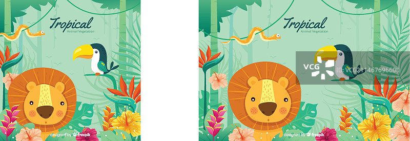 热带动物和植物背景图片素材