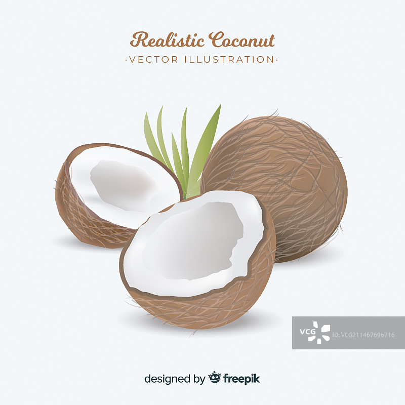逼真的椰子背景图片素材