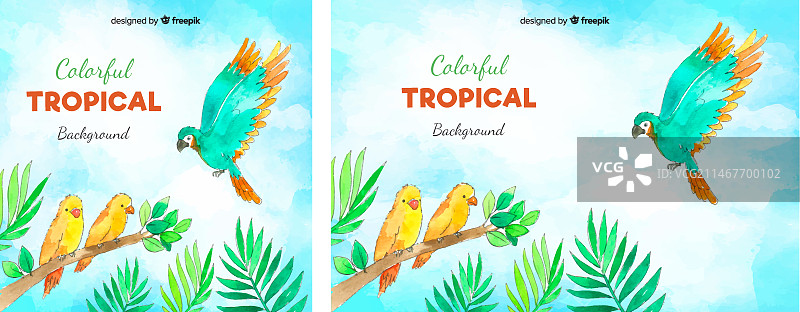 水彩热带背景图片素材