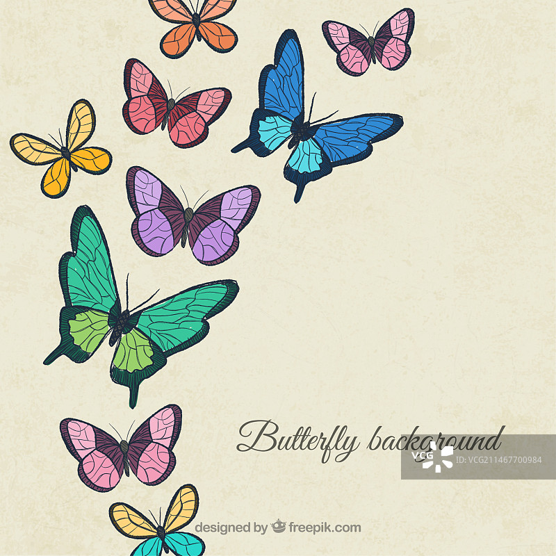 漂亮的蝴蝶背景图片素材