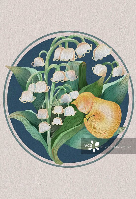 24节气之立夏铃兰花开图片素材