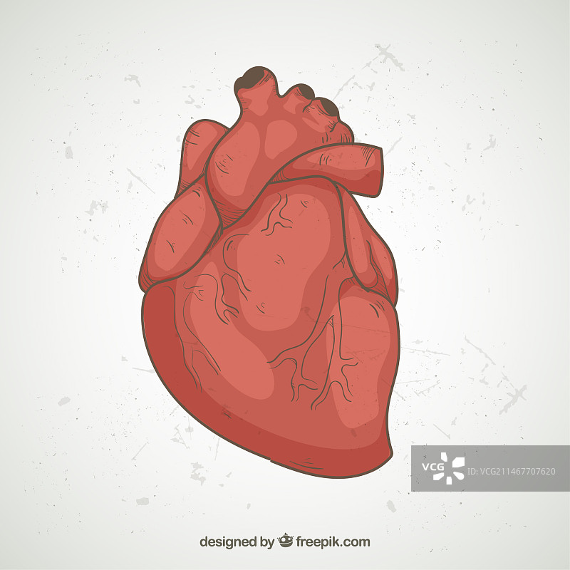 心形写实插画图片素材