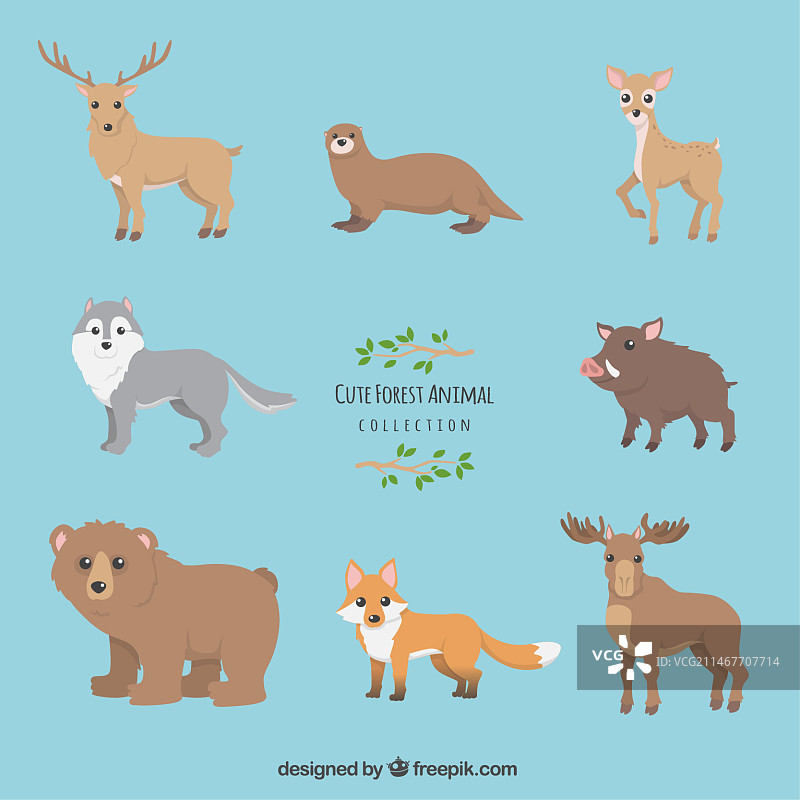 可爱的森林动物合集图片素材