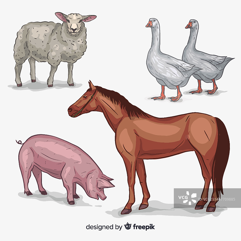 手绘农场动物合集图片素材