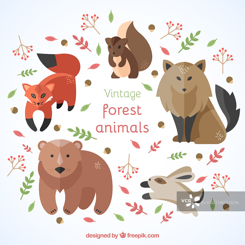扁平风格现代森林动物合集图片素材