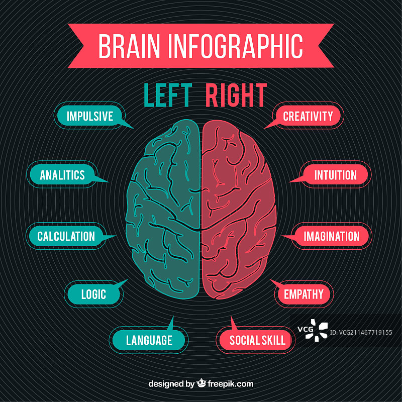 绿色和红色人脑信息图图片素材