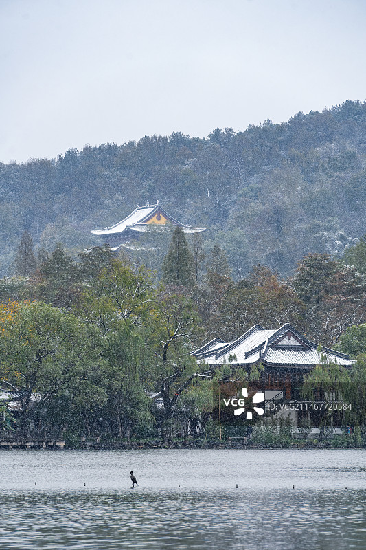 杭州西湖净慈寺雪景图片素材