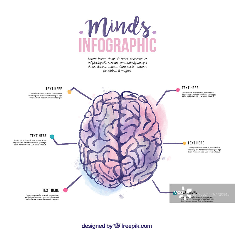水彩人脑信息图图片素材