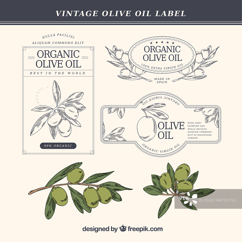 复古风格手绘橄榄油标签图片素材