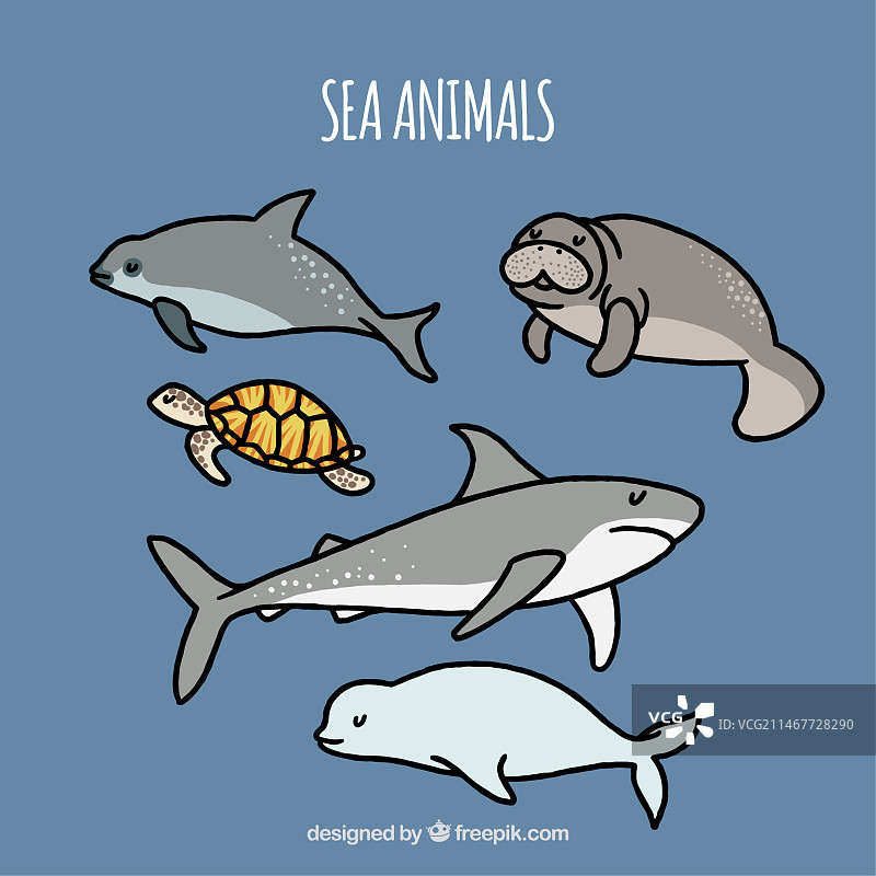 手绘海洋动物套装图片素材