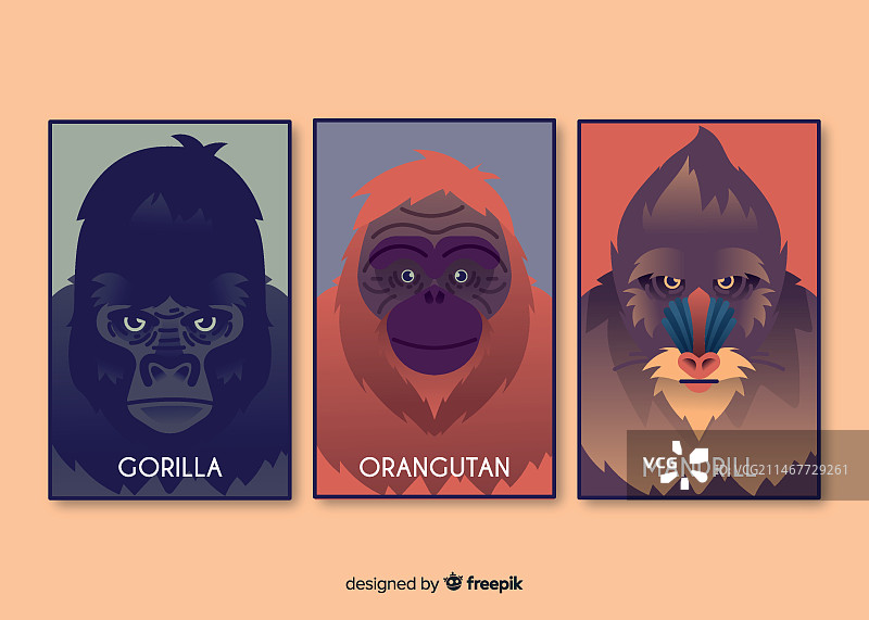 逼真的野生动物卡片合集图片素材