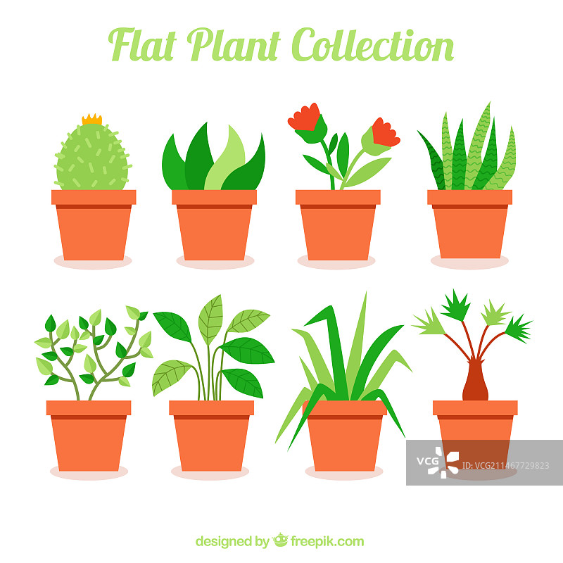 扁平设计风格的精美植物合集图片素材