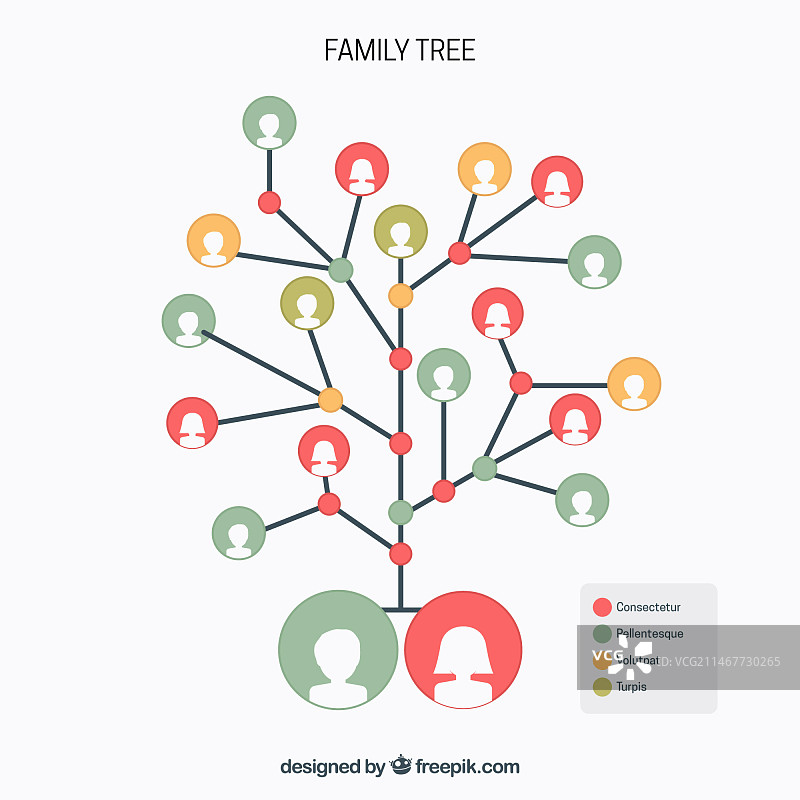 具有不同颜色的圆圈的族谱图片素材