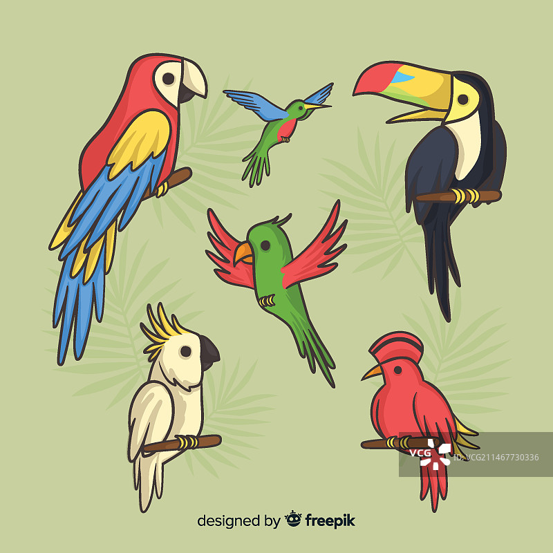 手绘热带动物合集图片素材