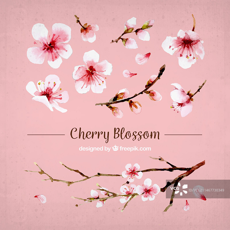樱花和水彩树枝合集图片素材