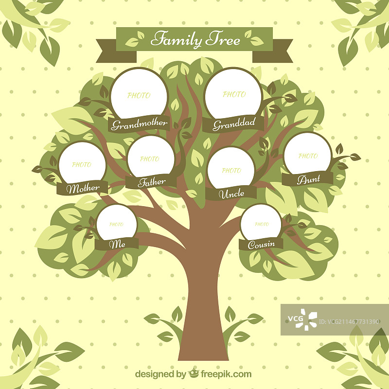 带有圆形和装饰树叶的家族树图片素材