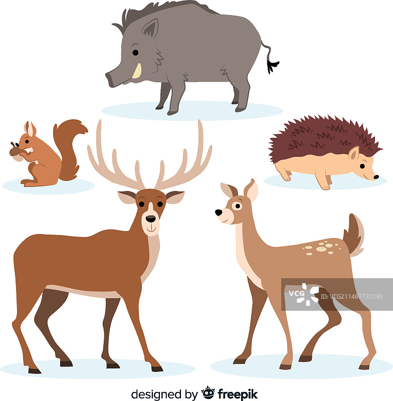 手绘秋季森林动物合集图片素材