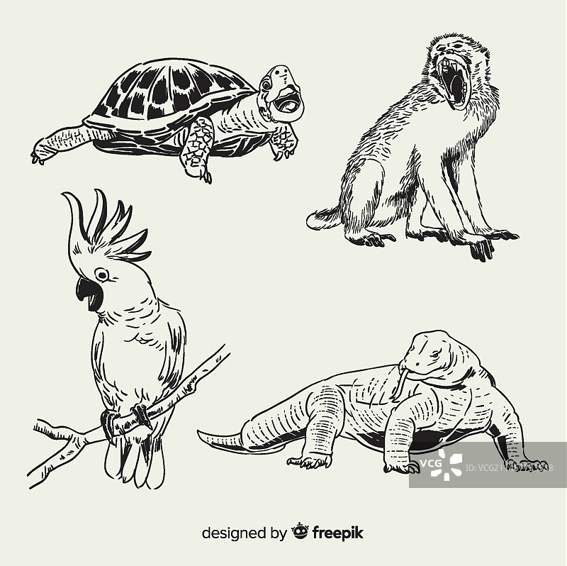 手绘热带动物合集图片素材