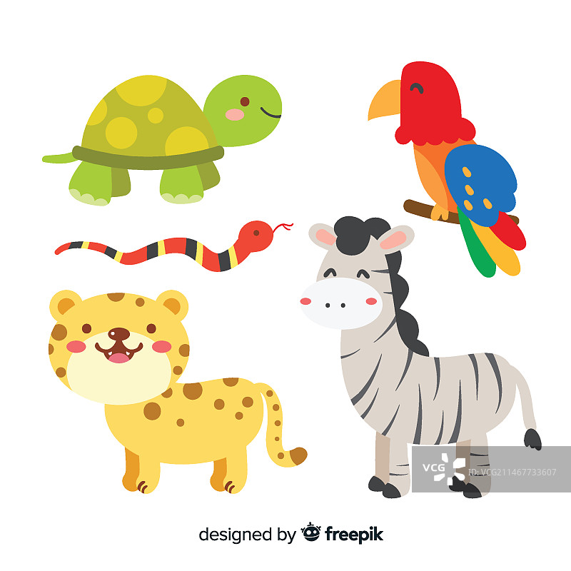 热带动物扁平设计合集图片素材