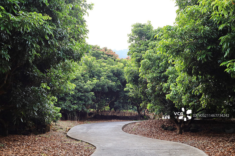 广州从化南平静修小镇风光图片素材