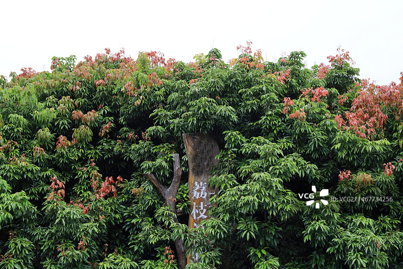 广州从化南平静修小镇风光图片素材
