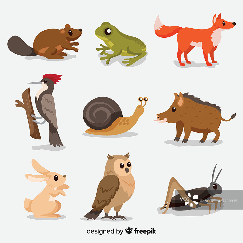 扁平风秋季森林动物合集图片素材