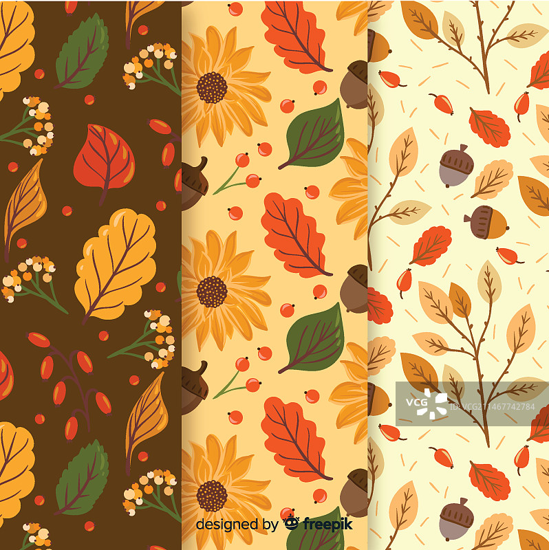 扁平风格秋叶图案合集图片素材