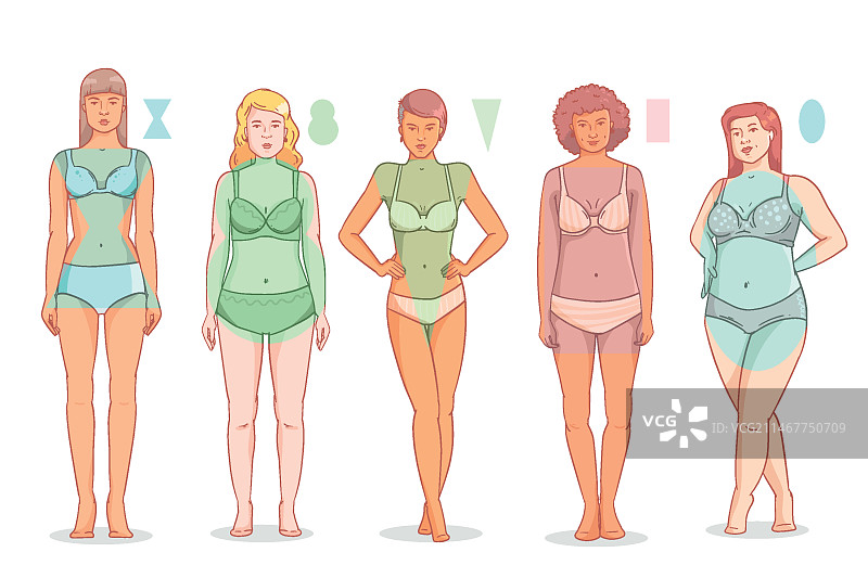 手绘女性体型种类图片素材