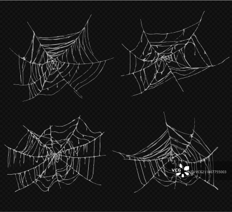 蛛网形状合集图片素材